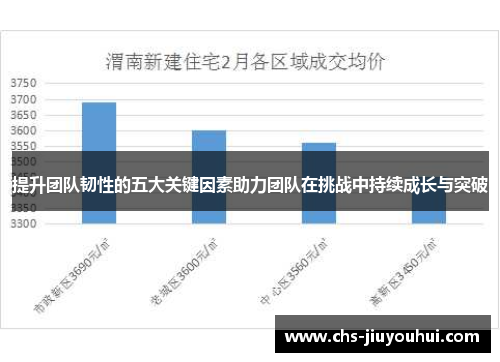提升团队韧性的五大关键因素助力团队在挑战中持续成长与突破 提升团队韧性的五大关键因素助力团队在挑战中持续成长与突破