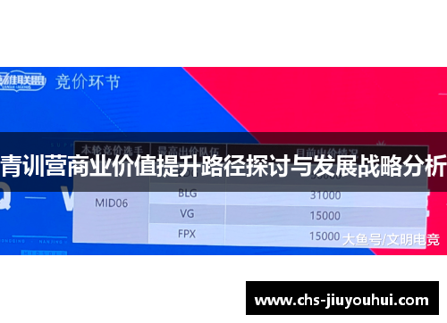 青训营商业价值提升路径探讨与发展战略分析